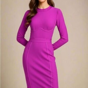 Elegant Purple Long Sleeve Dress